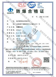 Explosion-proof certificate for submersible pump (submersible pump)