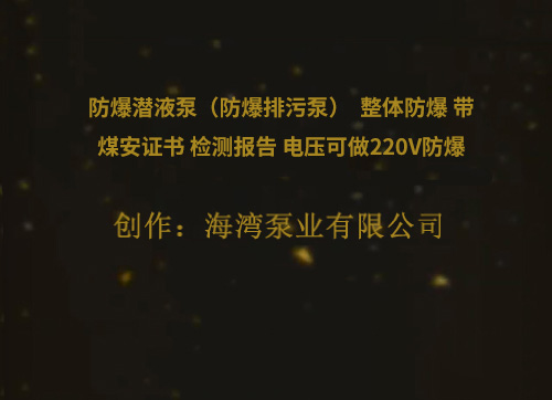 防爆潛液泵（防爆排污泵）  整體防爆 帶煤安證書(shū) 檢測(cè)報(bào)告 電壓可做220V防爆  380V防爆