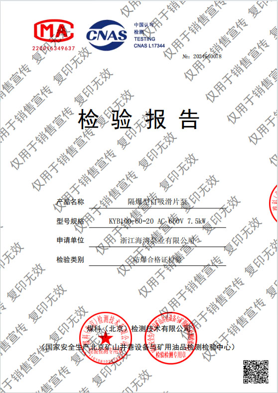 防爆型自吸滑片泵