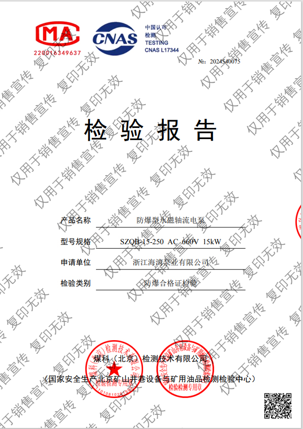 防爆型永磁軸流電泵檢測(cè)報(bào)告 